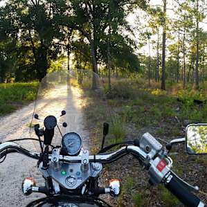 Leaving early in the morning to beat the flies.