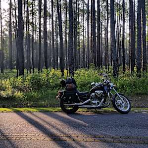 Road between visitor center and campsites.