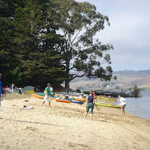 Tomales Bay Campground