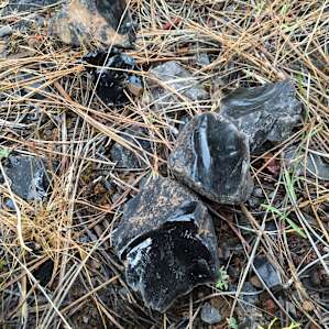 Obsidian littering the ground