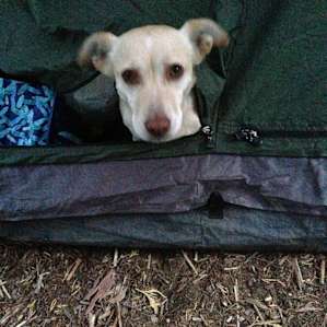 Dinkey Creek Campground