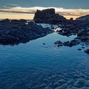 Harris Beach Campground
