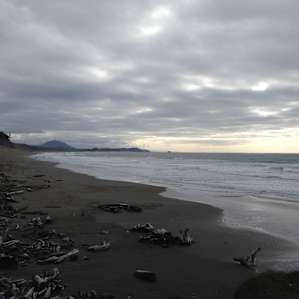 Looking south from beach near camp