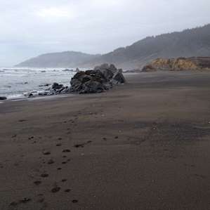Looking north on beach