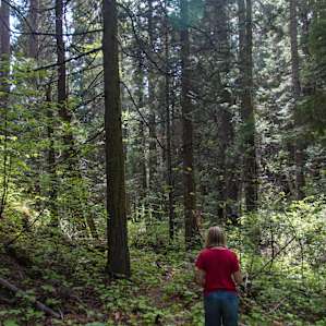 Hiking just out of camp