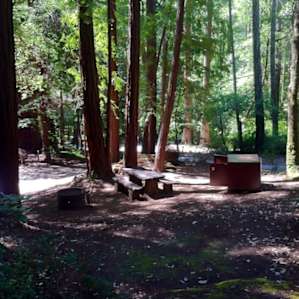 Typical site.