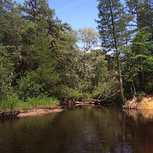Batona Camping Area