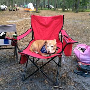 Batona Camping Area