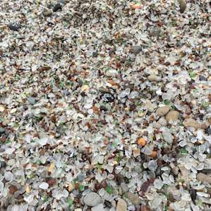Glass beach fort bragg