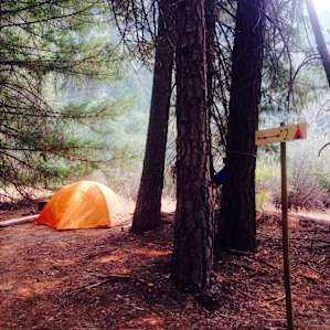 Sasquatch Meadows