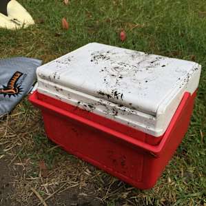 Plaskett Creek Campground