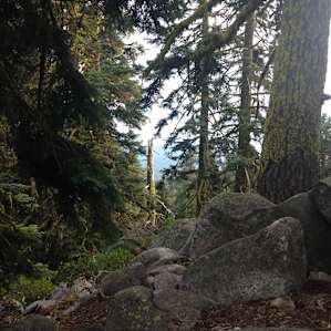 No wide-open vistas from our camp site but a couple of the others did have them. It was still a scenic spot though.