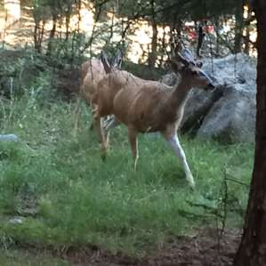 Neighbors
