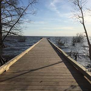 Lake Phelps boardwalk from campsite