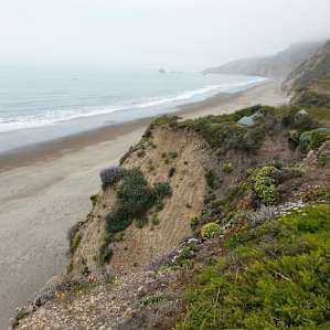Site #6