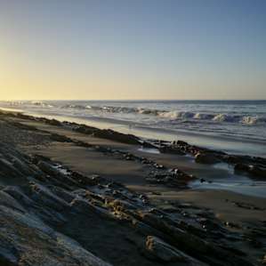 Walking along the beach in early morning.