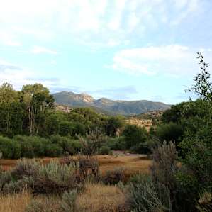 Early Morning, Diamond Campground