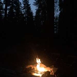 Dorst Creek Campground