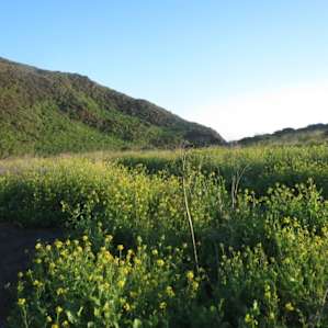 Wildcat Campground