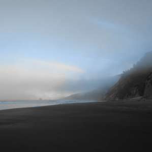 Early morning fog on the beach.
