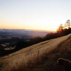 Juniper and Live Oak Campground