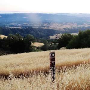 Juniper and Live Oak Campground