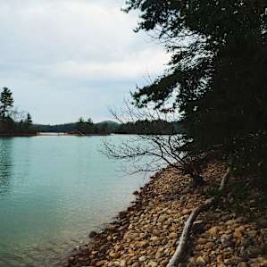 Peaceful hike on the lake shore.