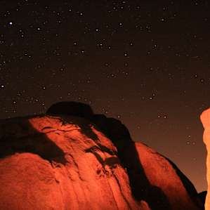 Joshua Tree has incredibly starry nights - its a great place to practice night photography!