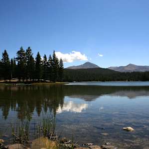 Dog Lake - nice hike near Porcupine Flat