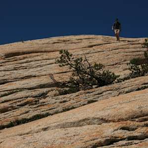 Lambert Dome - nice hike near Porcupine Flat