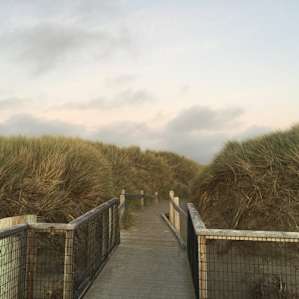 Heading towards the beach.