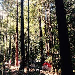 Tents in the campground