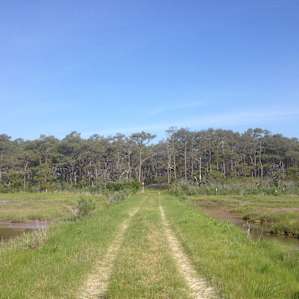 Assateague Island Backcountry Camping