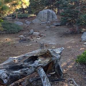Spacious Campsite