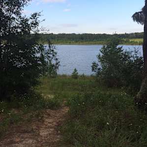 Little Lake Bryant Primitive Campground