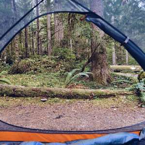 tentview forest lodging