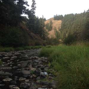 The creek!