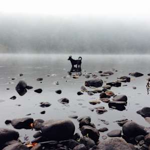 Early morning on the river, just steps from the tent