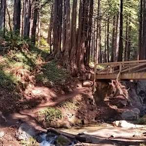 The bridge was out of service when we visited (9/21), but you can cross the trees near sites 23/24 to get to the trails.