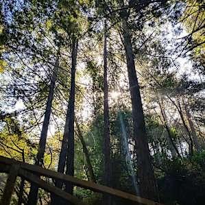 Limekiln Campground
