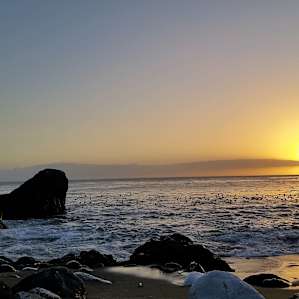 Not pictured: the goofy sea lion who was bobbing up and down in the water at sunset.