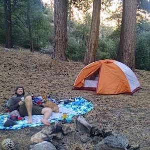 The actual trail camp was full, so we doubled back and stayed at this site that was right on the trail by the creek crossing.
