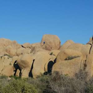 Jumbo Rocks Campground