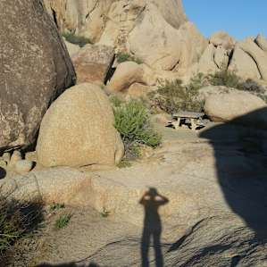 Jumbo Rocks Campground