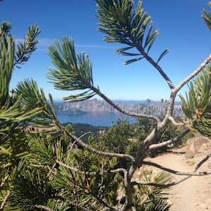 Mazama Village Campground