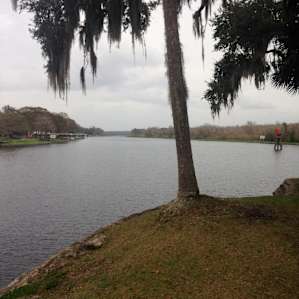 Nestled on a the St. Johns River, you can fish, kayak, or canoe.