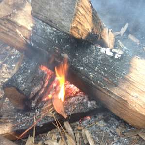 love that they have the fire pits at each campsite and also one by the water for the boat campers!