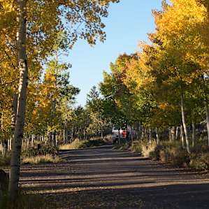 Top loop of campground late September