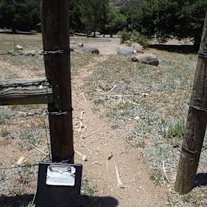 Entrance to Cibbets Flat from the PCT access trail.