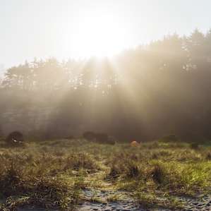 Gold Bluffs Beach Campground